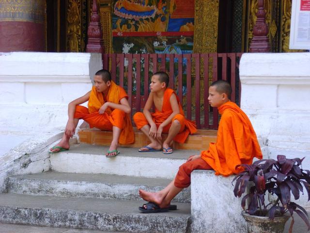 1615812136226054278.jpg 1615812136226054278.jpg